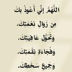 شاحن جوال اصلي