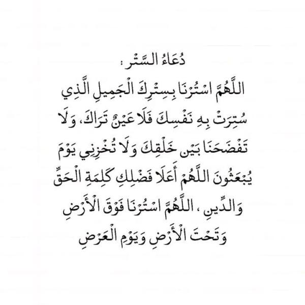 شاحن جوال اصلي